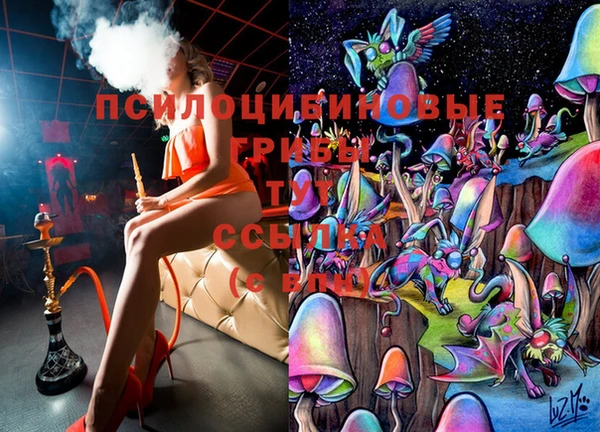 спайс Абинск