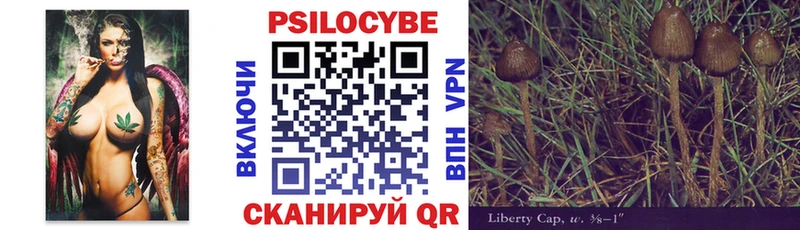 Галлюциногенные грибы Psilocybe  Нариманов 